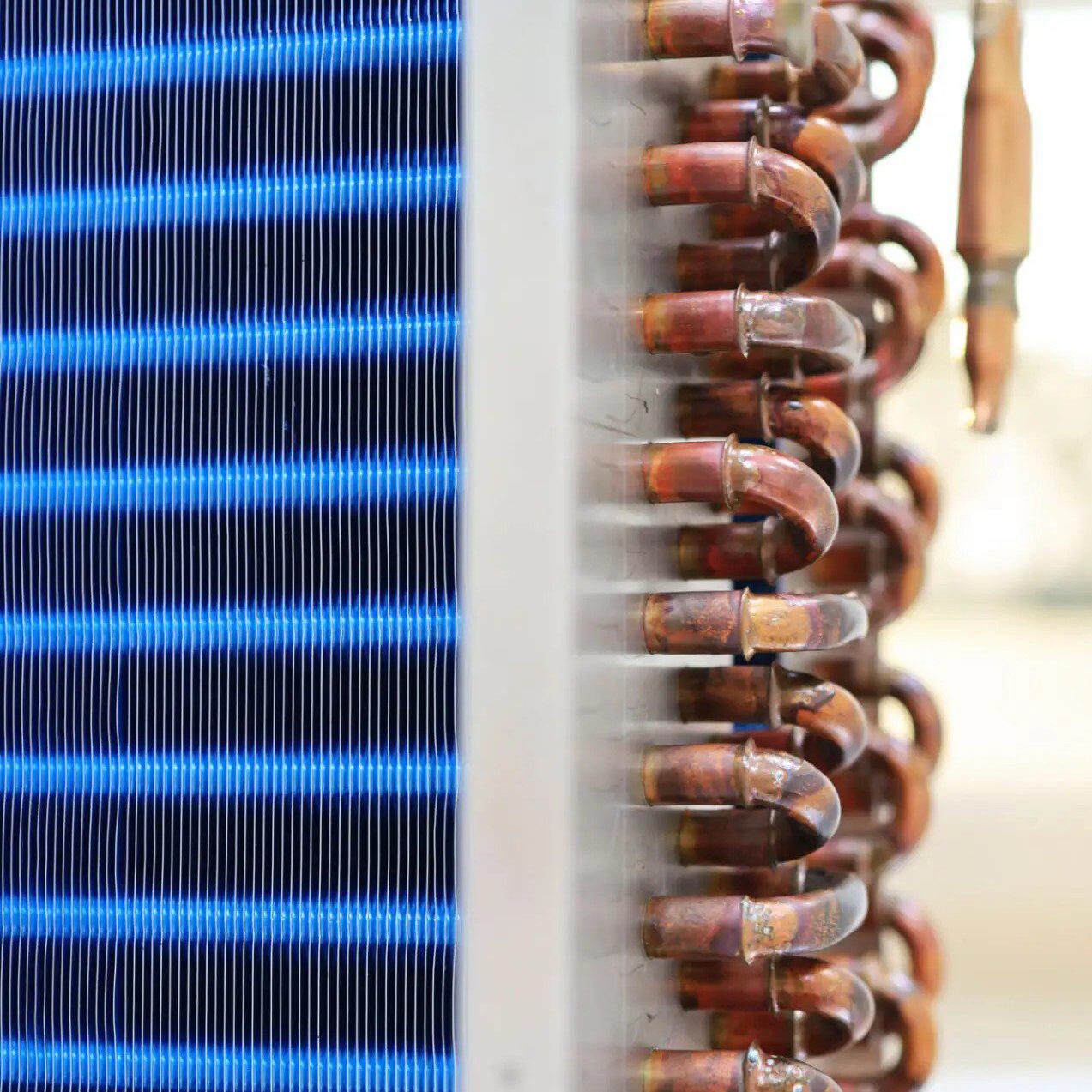 ba8a5860-bec7-4cd8-a940-f7642123d757 (2)